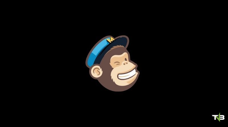 Why Is MailChimp Called MailChimp