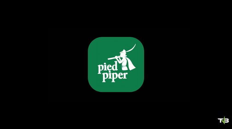 Why Is Pied Piper Called Pied Piper